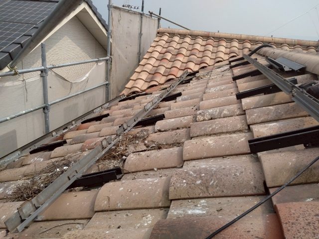 高松市のパネル下に作られた鳩の巣の痕跡